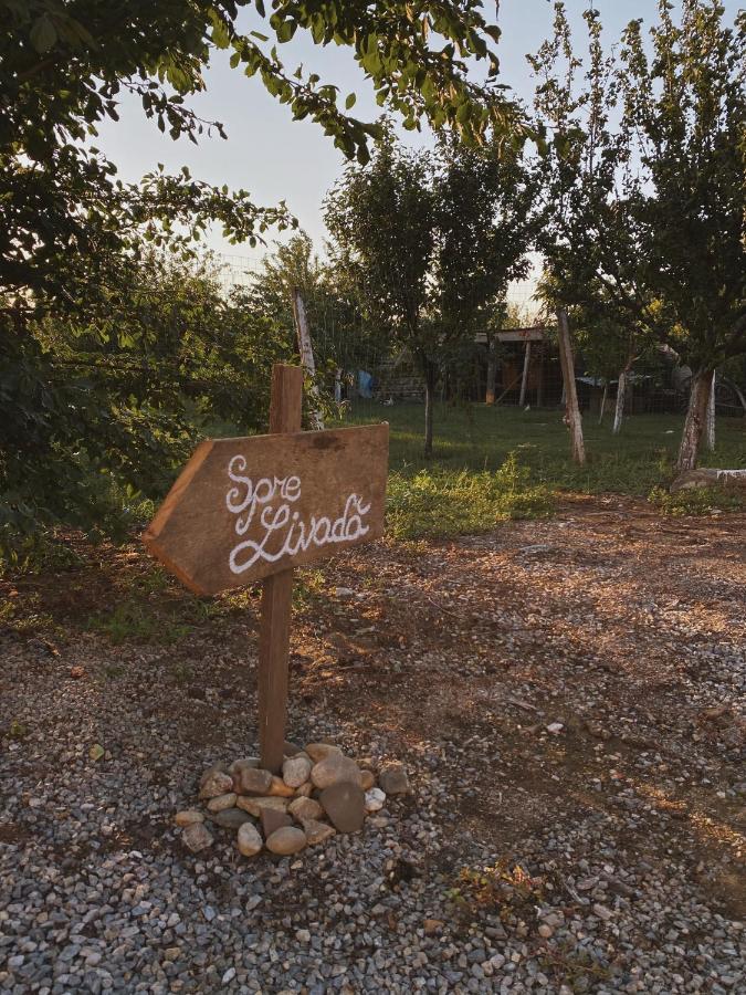 Pensiunea Aurelia Siria Ngoại thất bức ảnh